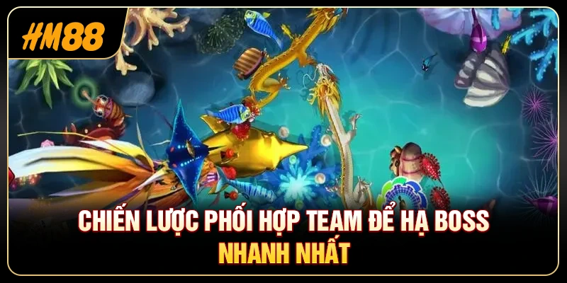 Mẹo Săn Boss Rồng Vàng